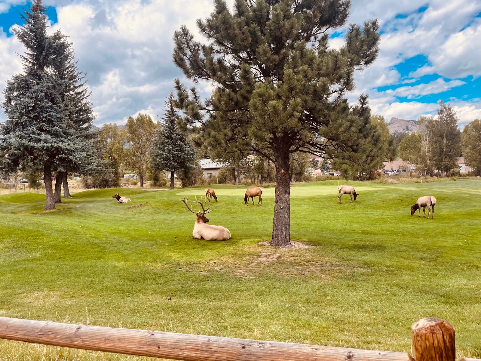 Estes Park eBike Tour photo 4