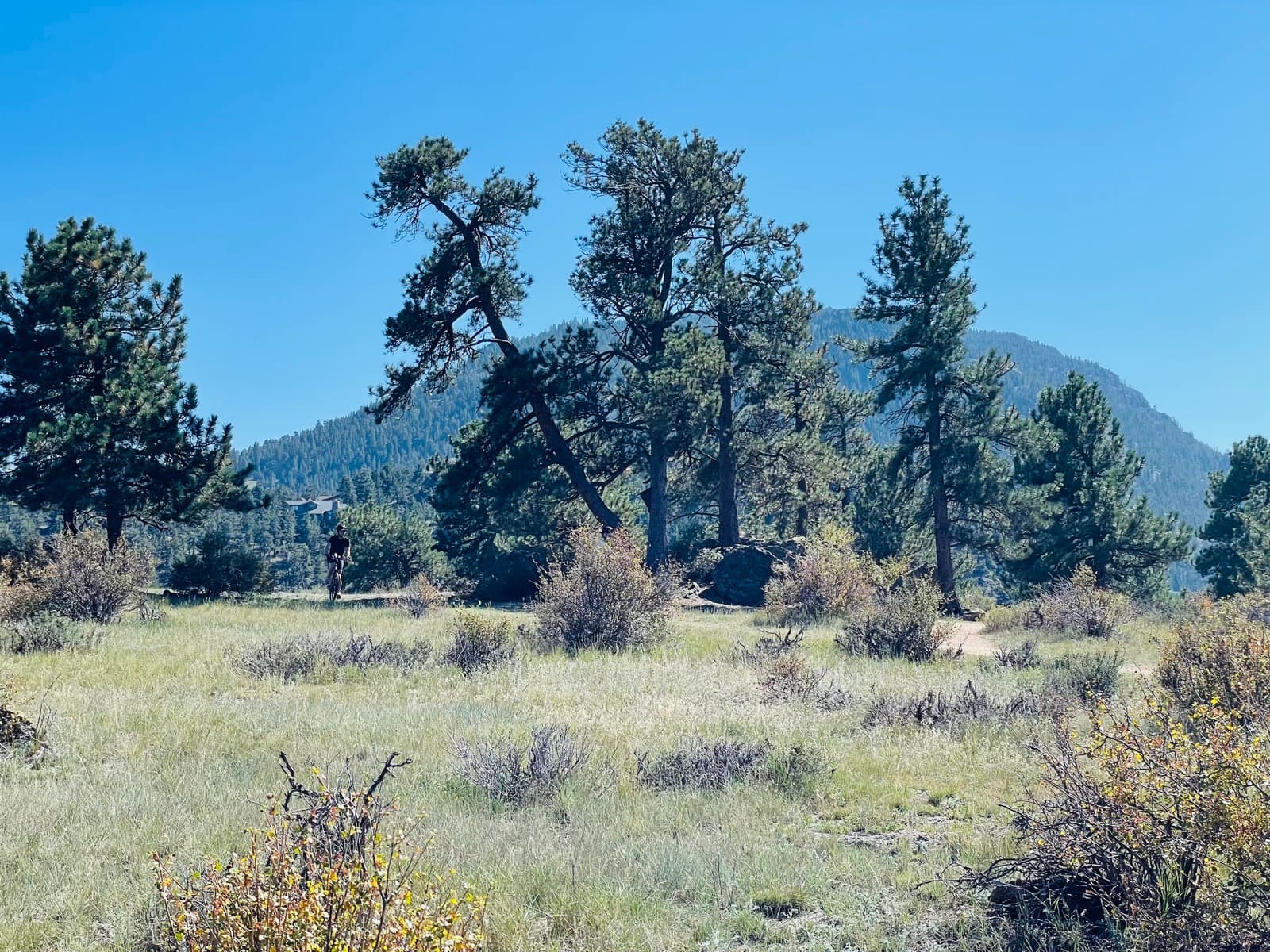 Estes Park eBike Tour photo 9