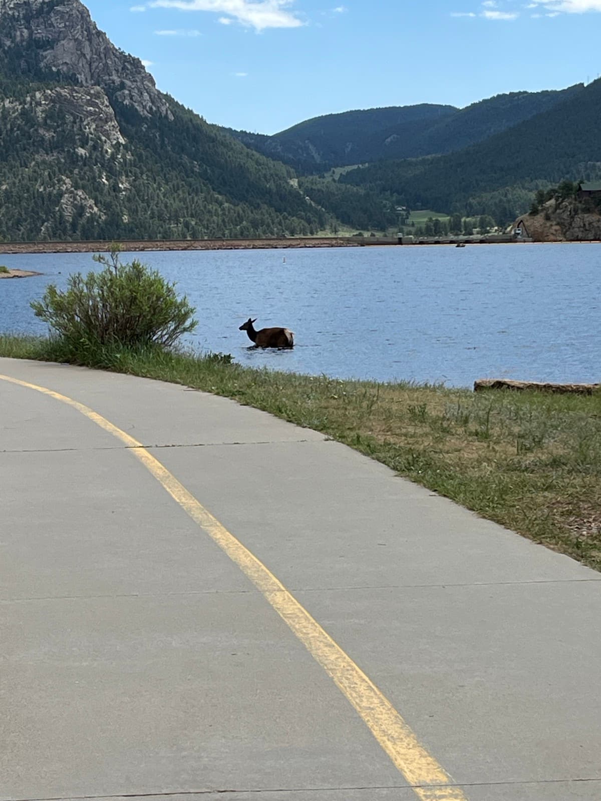 Estes Park eBike Tour photo 11