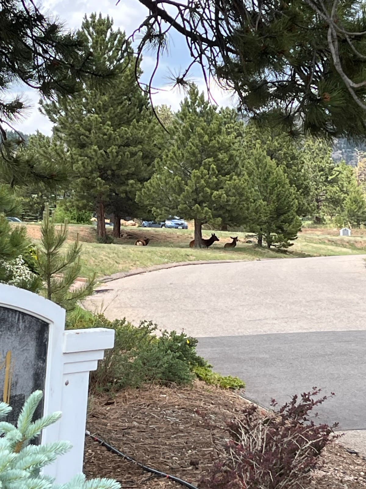 Estes Park eBike Tour photo 12